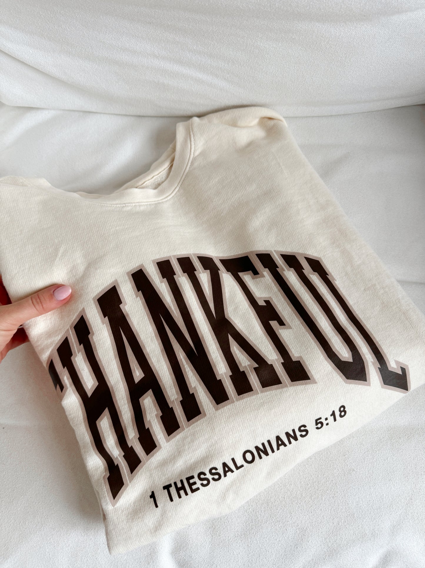 Thankful Comfort Wash Ivory Pullover