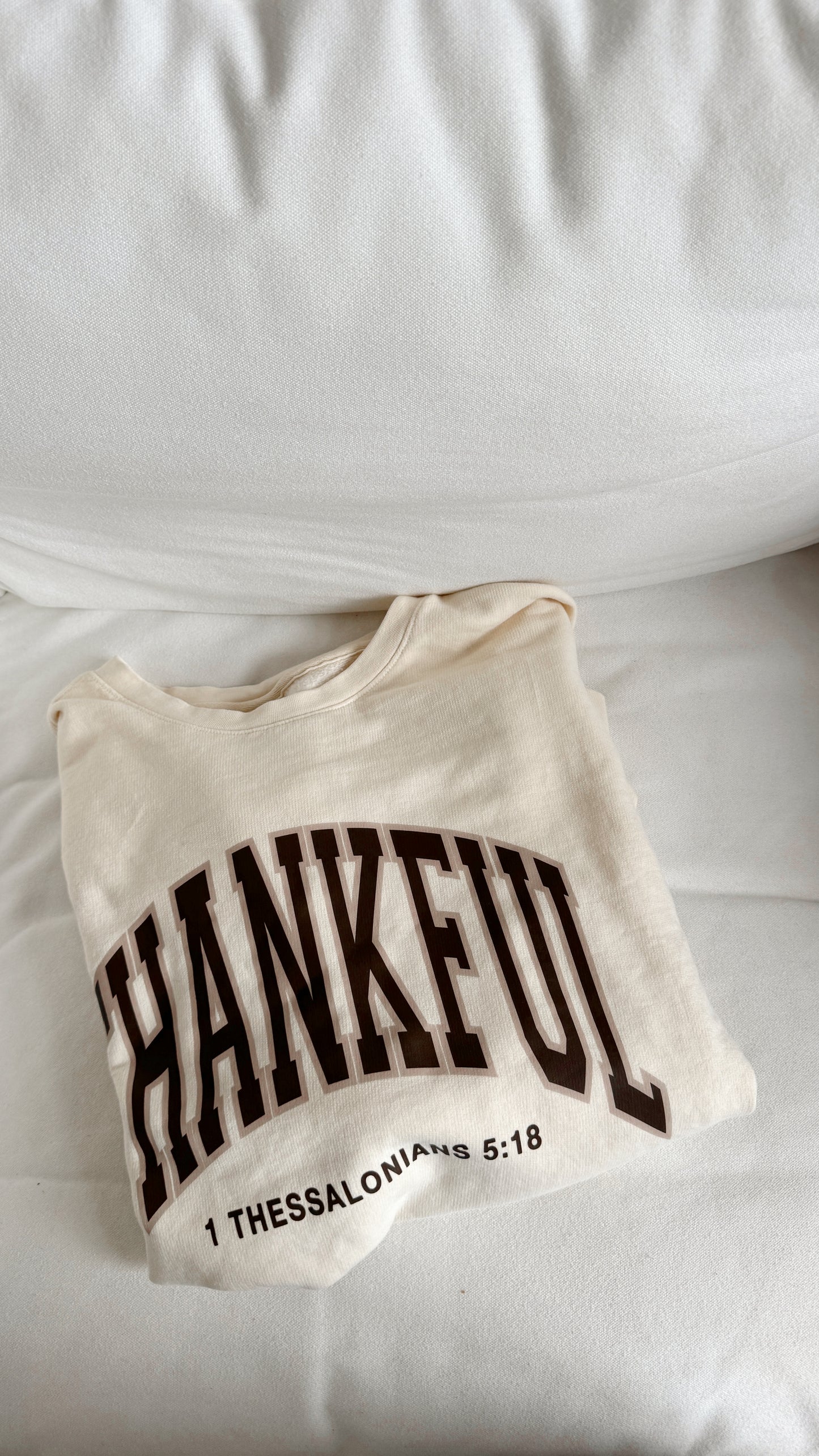 Thankful Comfort Wash Ivory Pullover