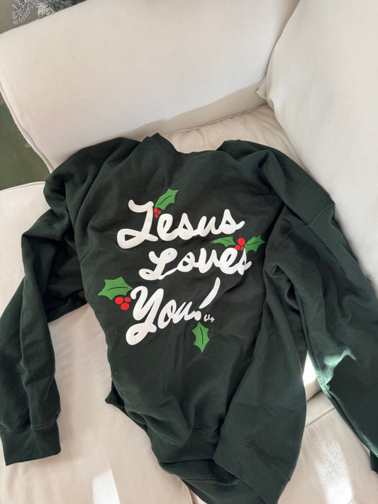 Christmas Holly Multicolor JLY Pullover