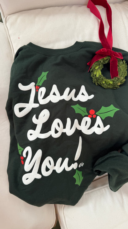 Christmas Holly Multicolor JLY Pullover